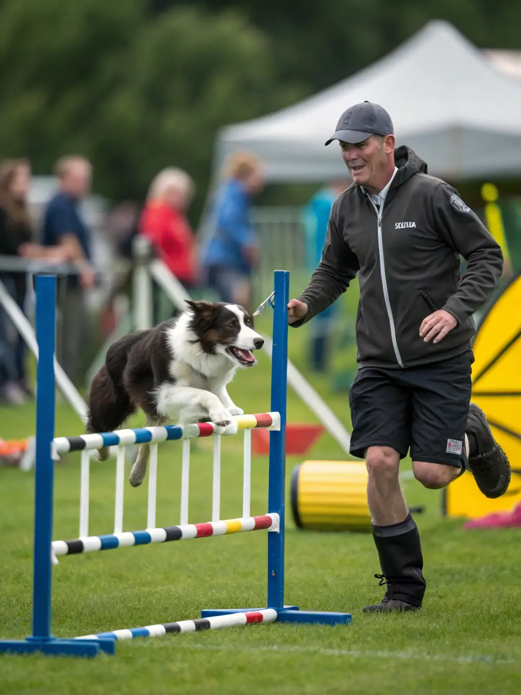 A photograph of a dog participating in an agility course, jumping over a hurdle with a handler guiding it, set against a backdrop of a sunny outdoor training field.